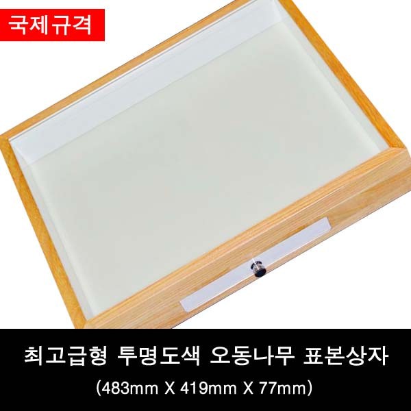 오동나무 표본상자
