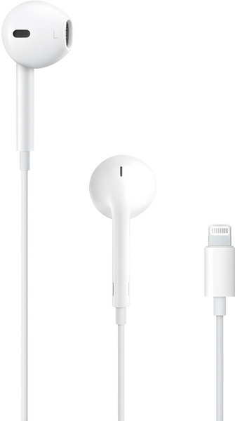 Apple 정품 라이트닝 이어팟, MWTY3ZP/A