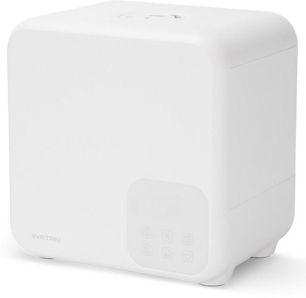 에버블루 파워미스트 간편세척 복합식 가습기 4L, EH003