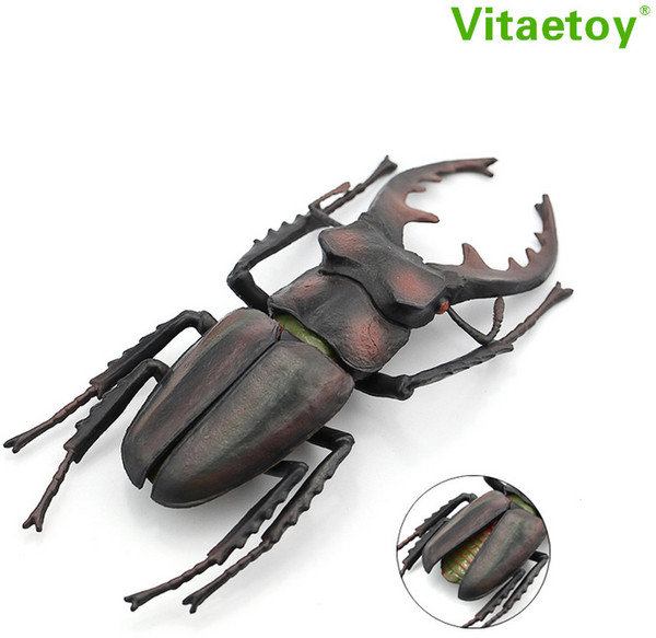 코카서스장수풍뎅이 오각뿔장수풍뎅이 집꾸미기 세트 벌레 1 장수 곤충 어처, 큰고사삽형충 날개탈부착