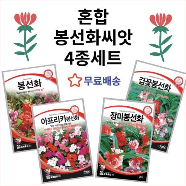 주주씨앗 혼합 봉선화씨앗 4종 세트 겹꽃 장미 봉숭아 아프리카 임파첸스 종자 씨, 1개
