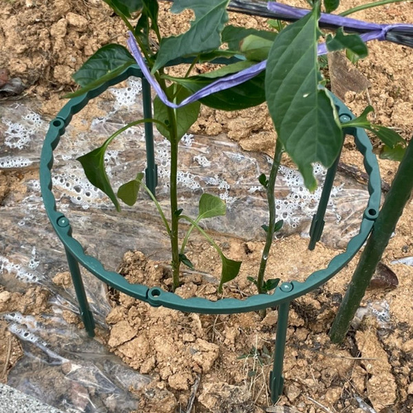 둥근 조립형 화분 식물지지대 15cm 4P, 1개