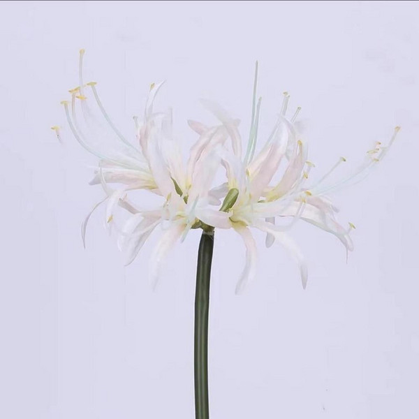 꽃 만주 후아 꽃꽂이 묶음 장식 촬영 소품, 1개, 6. DD1206