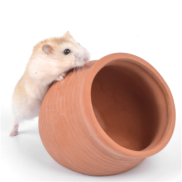 4c2b6365a9d14ac68ebf46404c873449e832cd695e04584e031e7a99c5d0.png