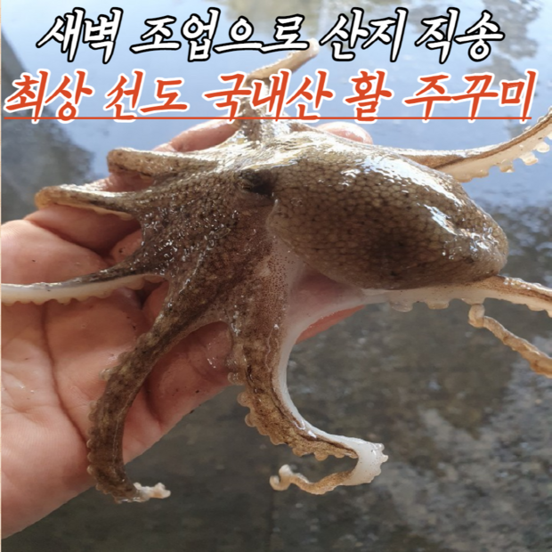 175fbec945fa03a57b17bd58a6348d90d6cf41884f8241a75e3ec009903f.png