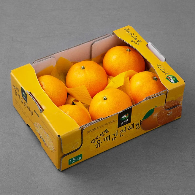 올레길감귤 GAP 해풍맞은 올레길 Ai당도선별 13.5brix 천혜향, 1.5kg(중과,5~7입), 1박스