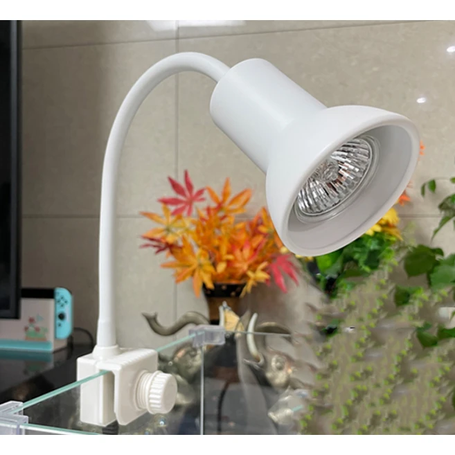 모비딕 거북이 할로겐 조명 + 전구 2P, 화이트, 1세트