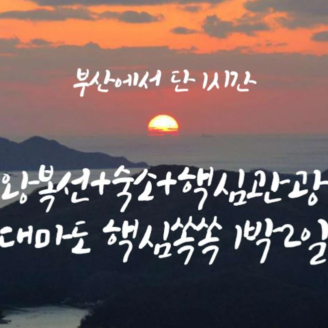 [대마도] 대마도 부산출 씨플라워호 출항기념 니나호 쓰시마링크호 1박2일 패키지여행