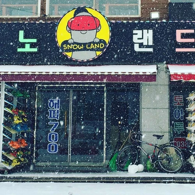 [강원] [렌탈샵] 휘닉스파크 스노랜드 렌탈&강습