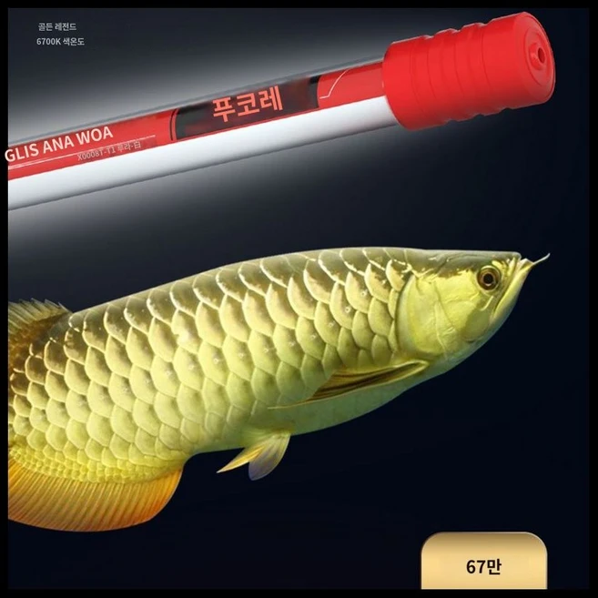 수조 태닝등 수족관 상품 금용 홍용 발색, 1개