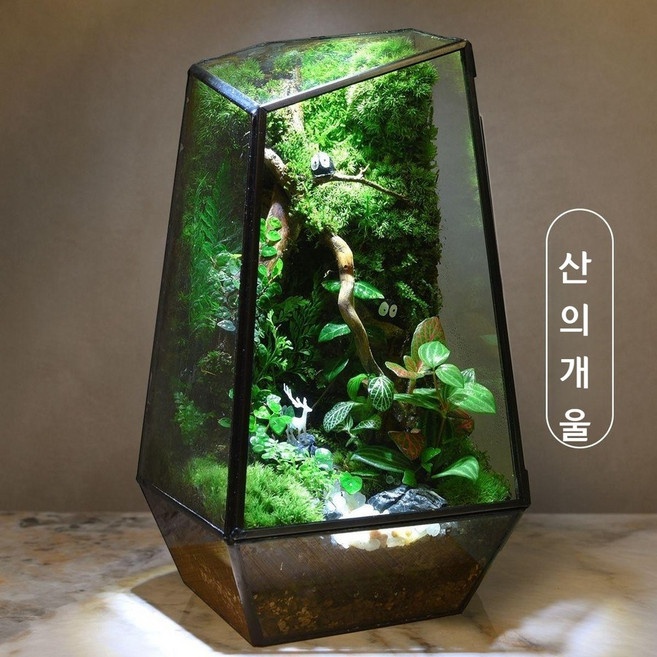추천3 테라리움 만들기 키트