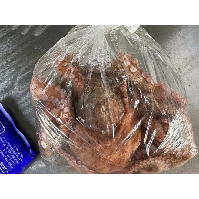[면역력강화] 통영 산지직송 활 돌문어, 1박스, 1kg(1-4미)