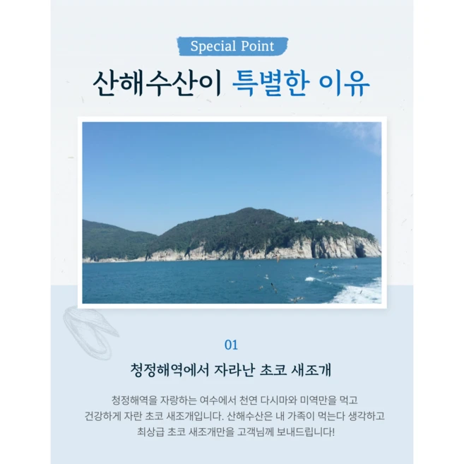 [산지직송] 정품 초코 새조개 백화점납품 선주 당일조업, 1개, 250g