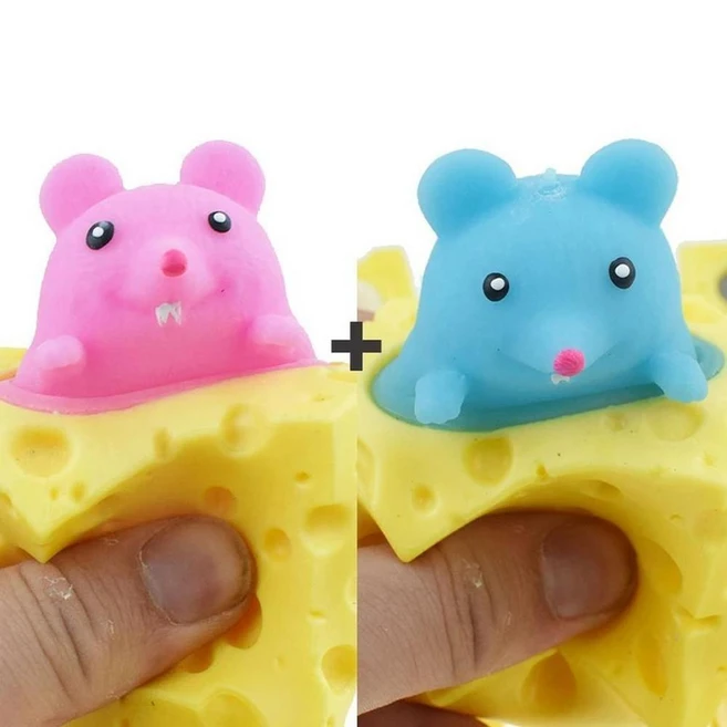 추천8 다람쥐 말랑이