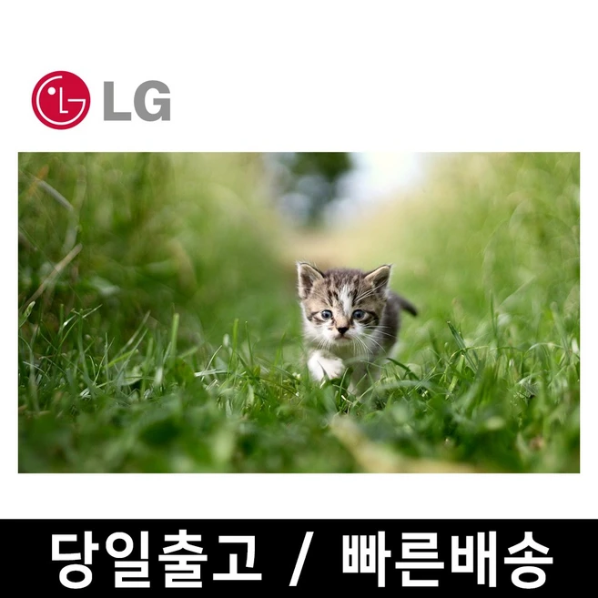 추천8 tv lg 43인치