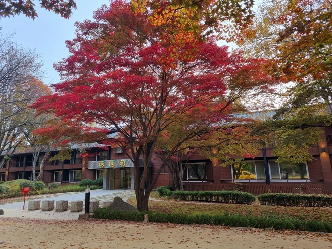 [춘천시] 남이섬 호텔 정관루