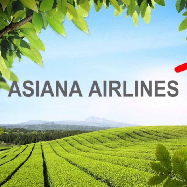 [제주] [김포/광주/청주/대구출발]아시아나 편도 항공권(공항세+유류세포함)