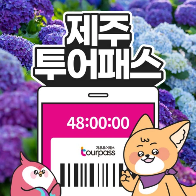 [제주] 제주투어패스 프리패스 자유이용권