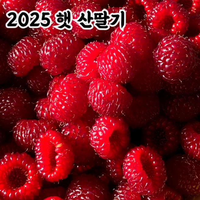 국내산 급냉 산딸기 흑딸기, 1개, 1kg
