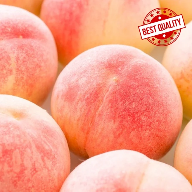 [아삭아삭 복숭아] 달콤함이 가득한 딱딱이 복숭아 특품질 만족도1위, 1박스, 딱딱이복숭아 4kg