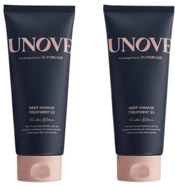 [정품][1+1 기획] 어노브 딥 데미지 트리트먼트 이엑스 100ml, 2개