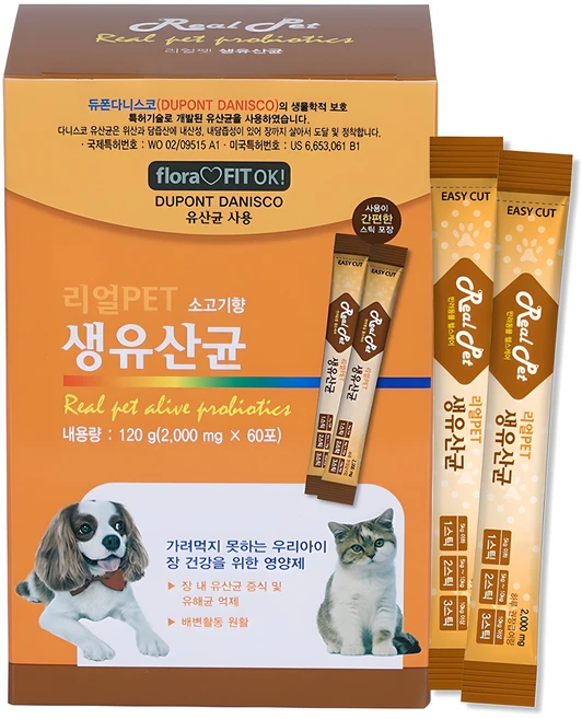리얼Pet 반려동물 영양제, 장건강/유산균, 1개