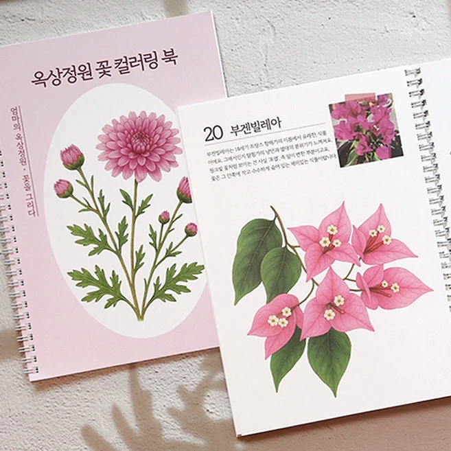 꽃 컬러링 북 도안 어르신 색칠공부 색칠하기 어른 성인취미 치매예방 책 컬러드로잉 시니어 학습지
