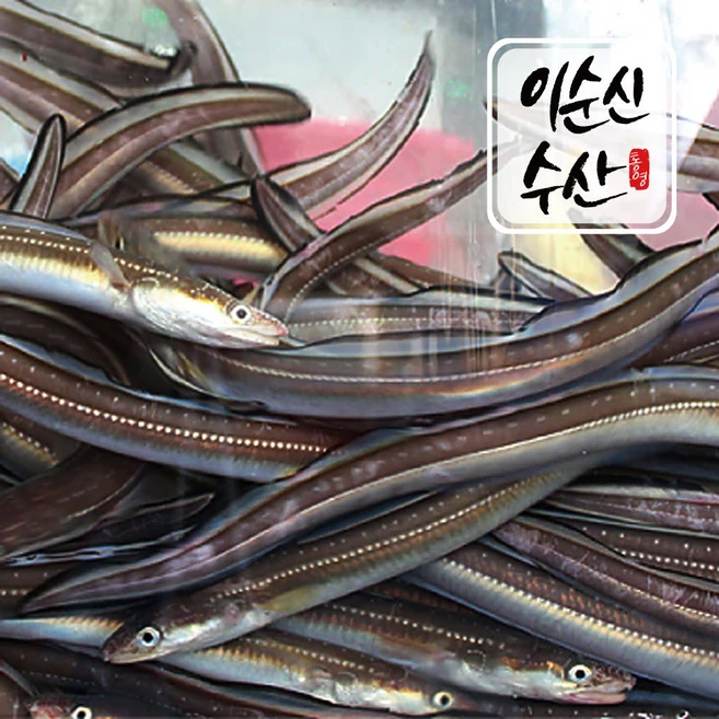이순신수산 [우체국쇼핑]바로 먹는! 통영 자연산 바다 장어 /양념장 증정, 1개
