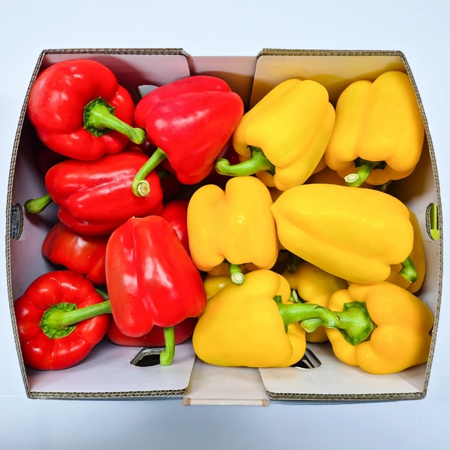 야채삼촌 못난이 파프리카 혼합 파프리카 1kg 2KG 5KG, 1개