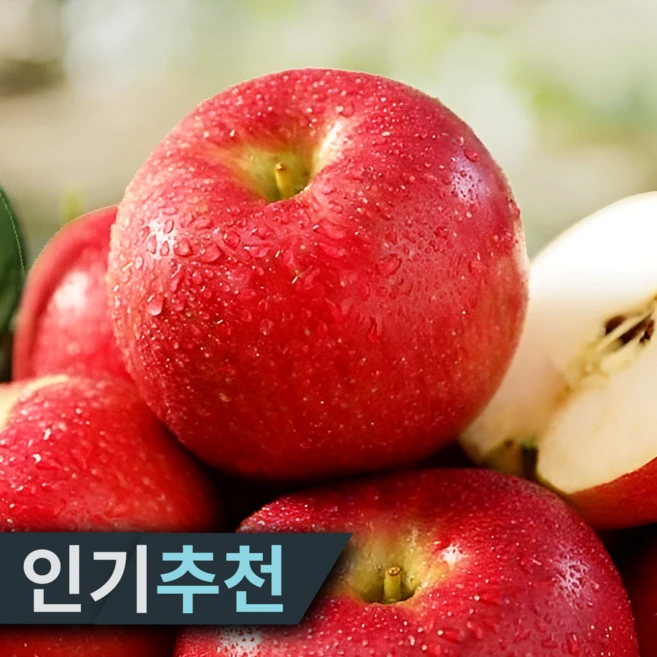[산지선별장직송] 16brix 가정용특가 청송사과 부사사과, 1개, 2kg고당도(혼합과)