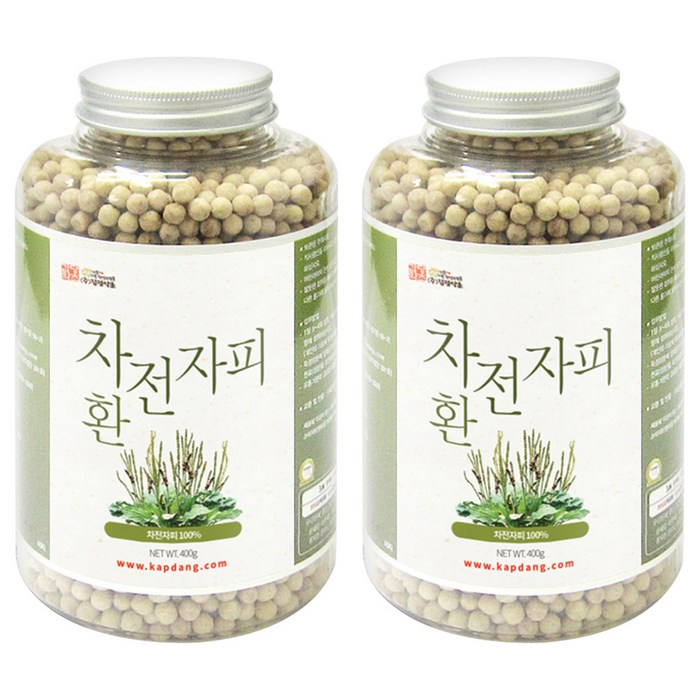 갑당약초 차전자피환, 400g, 2개 대표 이미지 - 차전자피 추천