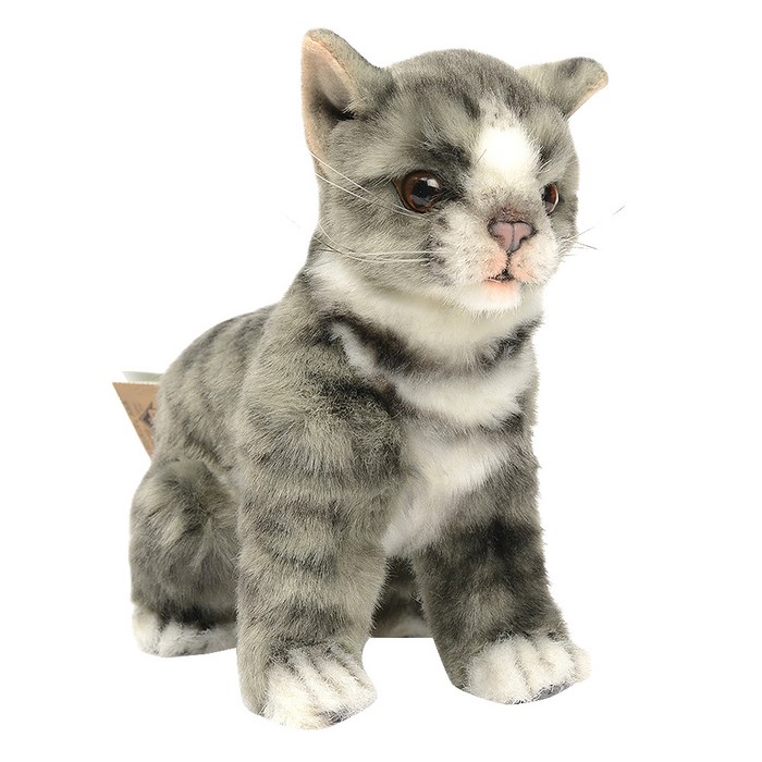 한사 6493번 고양이 Kitten Gray 봉제인형 대표 이미지 - 야옹이 추천
