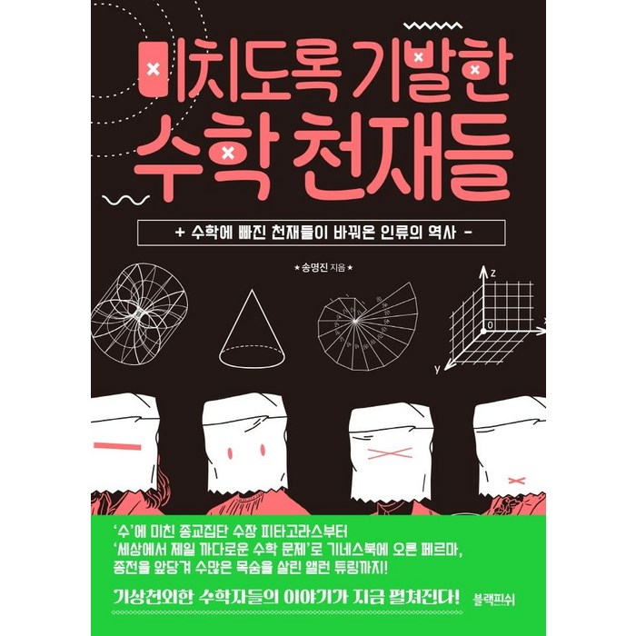 미치도록 기발한 수학 천재들:수학에 빠진 천재들이 바꿔온 인류의 역사, 송명진, 블랙피쉬 대표 이미지 - 수학 책 추천