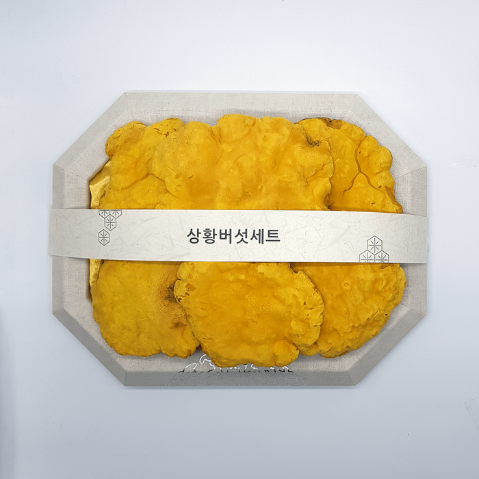 청림농원 국내산 상황버섯 선물세트 250g, 1개 대표 이미지 - 상황버섯 추천