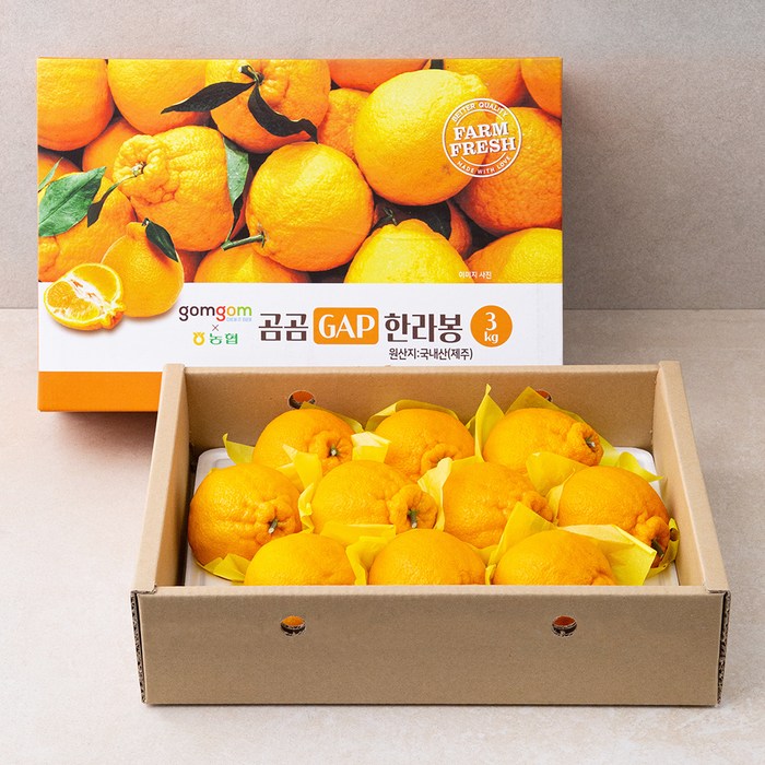 곰곰 x 농협 한라봉, 3kg(9~12입), 1박스 대표 이미지 - 제수용 과일 추천