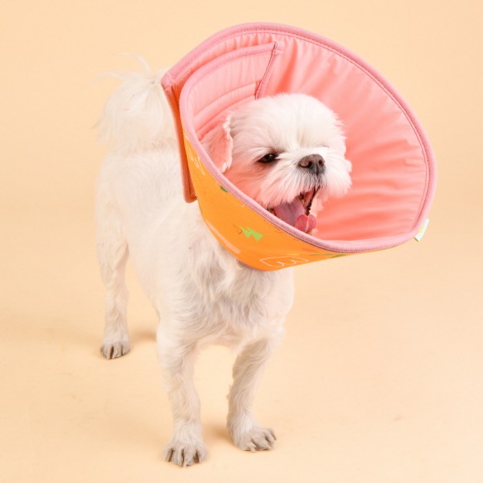 올치 강아지 초경량 디어 방수 가벼운 넥 카라 오렌지 M, 1개 대표 이미지 - 넥카라 추천