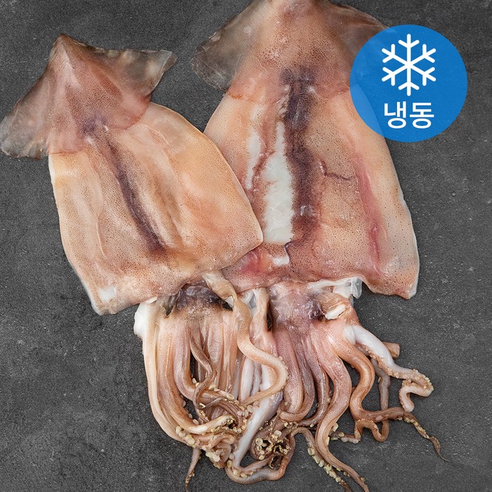 아라보감 원양산 개별포장 꾸덕꾸덕 반건조 오징어 2미 (냉동), 500g, 1개 대표 이미지 - 반건조 오징어 추천