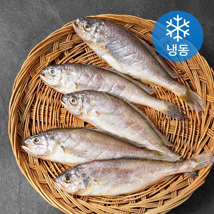 아라장 반건조 참조기 (냉동), 1팩, 350g(5마리) 대표 이미지 - 조기 추천