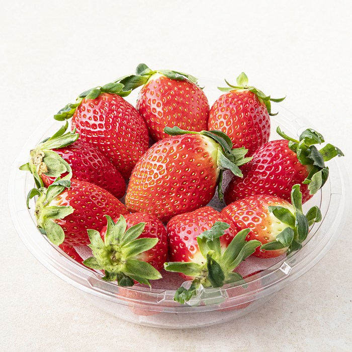 다조은 무농약 인증 금실딸기, 500g, 1개 대표 이미지 - 금실 딸기 추천