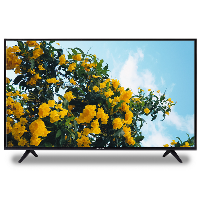 와이드뷰 FHD LED TV, 109cm(43인치), WV430FHD-E01, 스탠드형, 자가설치 대표 이미지 - 중저가 TV 추천