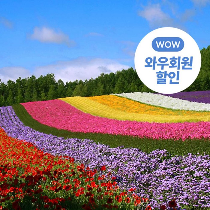 [일본] 북해도전세기 3박4일 패키지 대표 이미지 - 일본 패키지 여행 추천