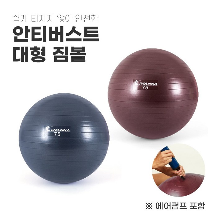 안티버스트 짐볼 요가용짐볼 필라테스볼 필라테스짐볼 짐볼운동 대형짐볼 75cm, 요가짐볼 75cm / 블루인디고 대표 이미지 - 강아지 짐볼 추천