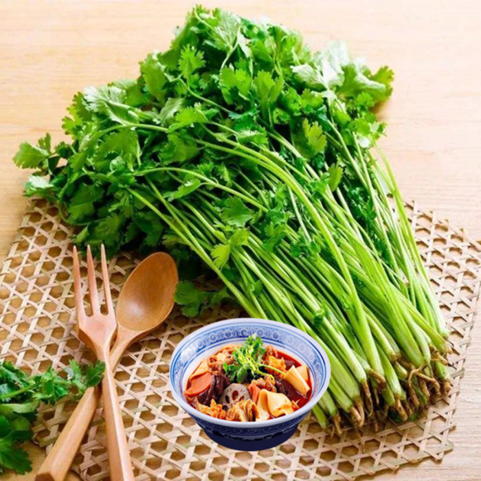 홍홍 중국식품 싱싱한 당일수확 고수, 1팩, 500g 대표 이미지 - 중국 당면 추천