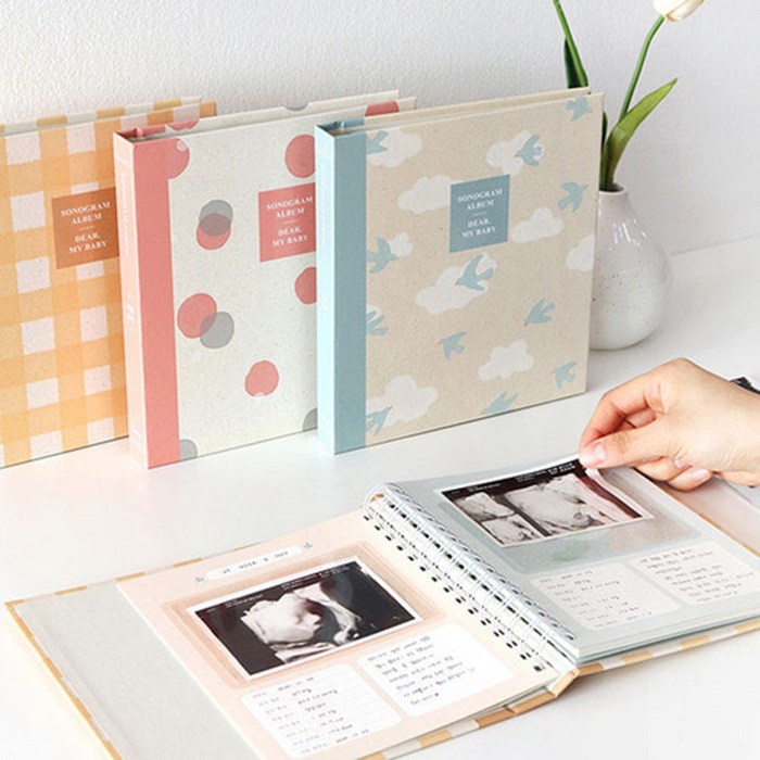 인디고 처음육아 기록하는 초음파앨범, 버드, 48매 대표 이미지 - 태교 추천