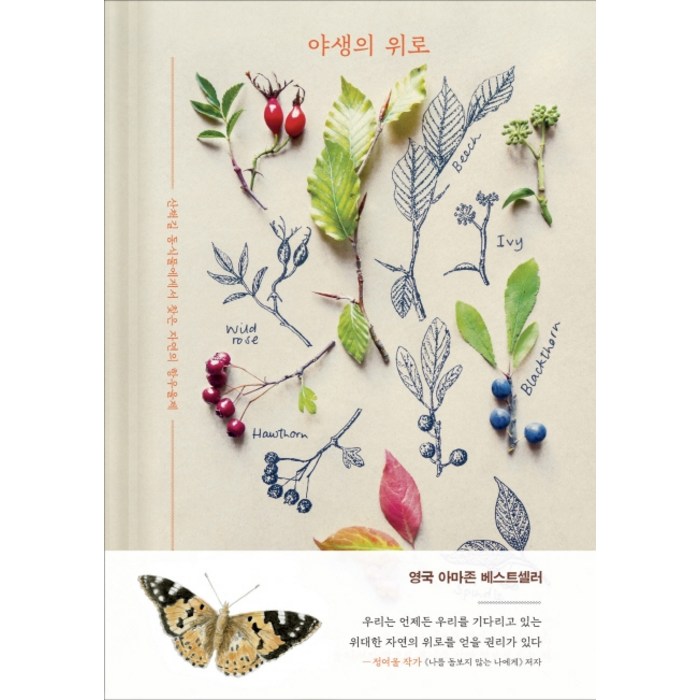 야생의 위로:산책길 동식물에게서 찾은 자연의 항우울제, 심심 대표 이미지 - 우울증 책 추천