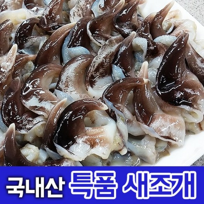 국내산 여수 자연산 손질 새조개 특품으로 골라 보냅니다. 샤브샤브 횟감용 2.5kg 손질 생물 실중량 500g 내외 산지직송, 1. 특품 손질 새조개(500g내외) 대표 이미지 - 조개살 추천