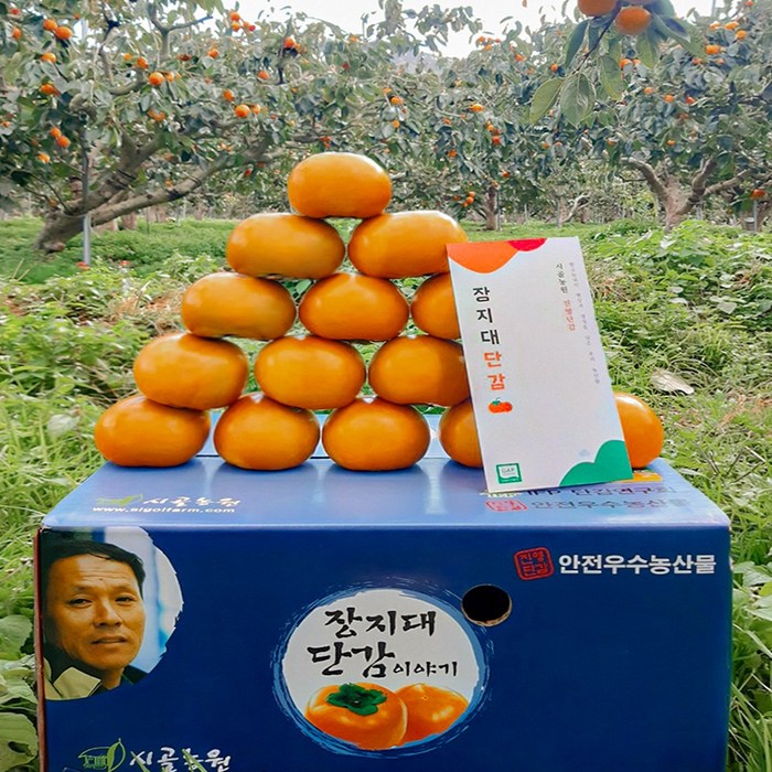 시골농원 40년 진영 단감 5kg 10kg GAP인증 세계농업인상 단감제대상 농가직송, 1box, 10kg 42개 대과 대표 이미지 - 단감 추천