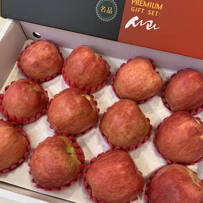 프리미엄 사과 선물세트 추석 설 명절 제수용 선물용, 사과 실속선물세트 중대과 3kg(9~10과) 대표 이미지 - 제수용 과일 추천