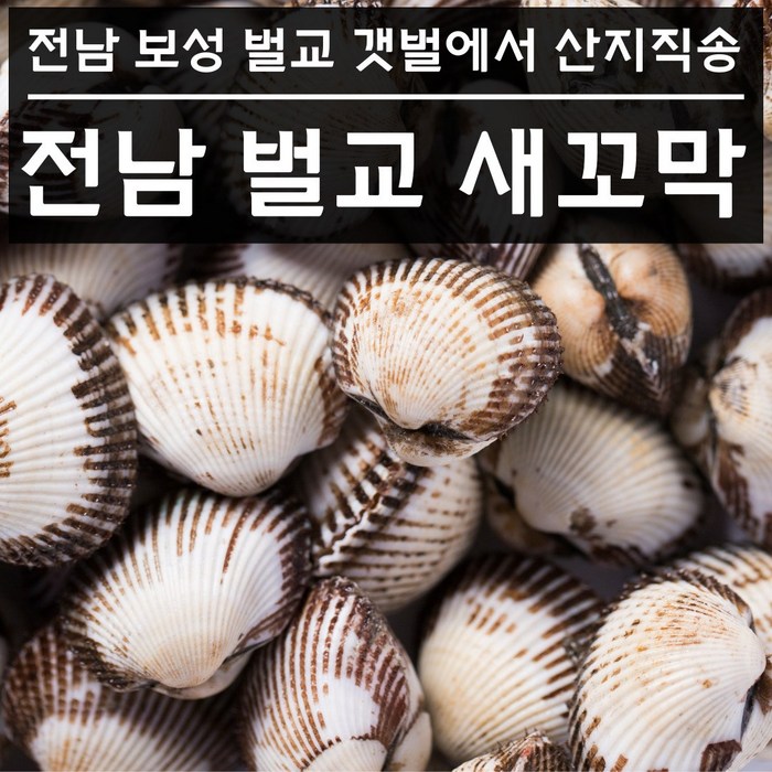 벌교 새 꼬막 특상품 산지 직송 새꼬막살 생꼬막 대 특대 사이즈 1kg 2kg 3kg 4kg 당일채취 손질, 2. 꼬막(상) 2kg 대표 이미지 - 꼬막 추천