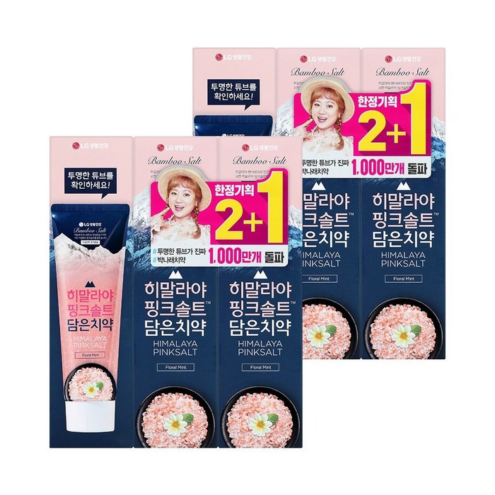 [신세계TV쇼핑]죽염 히말라야 핑크솔트 담은치약 플로럴민트 100g 3개입 x2개, 1세트 대표 이미지 - 히말라야 핑크솔트 추천